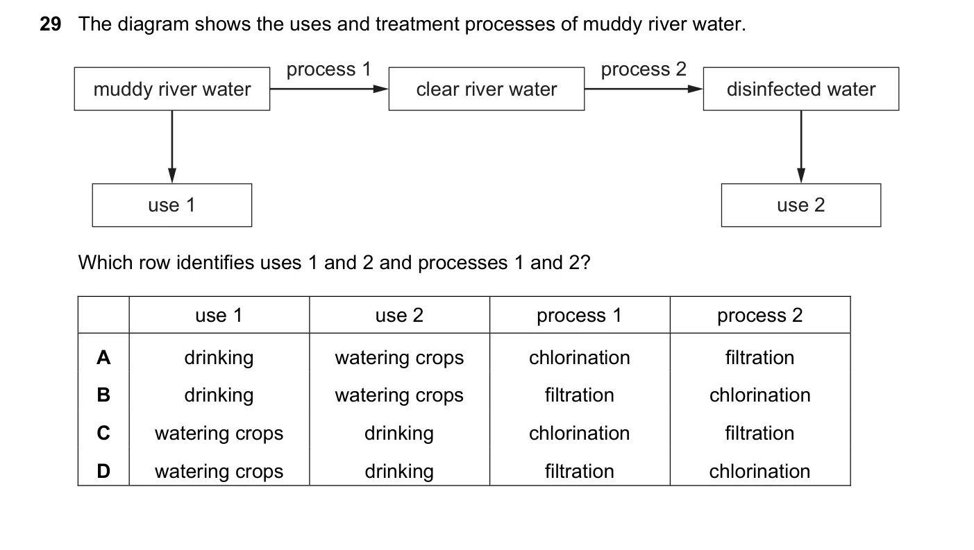 Question 29, June 2022, 0620 Paper 21