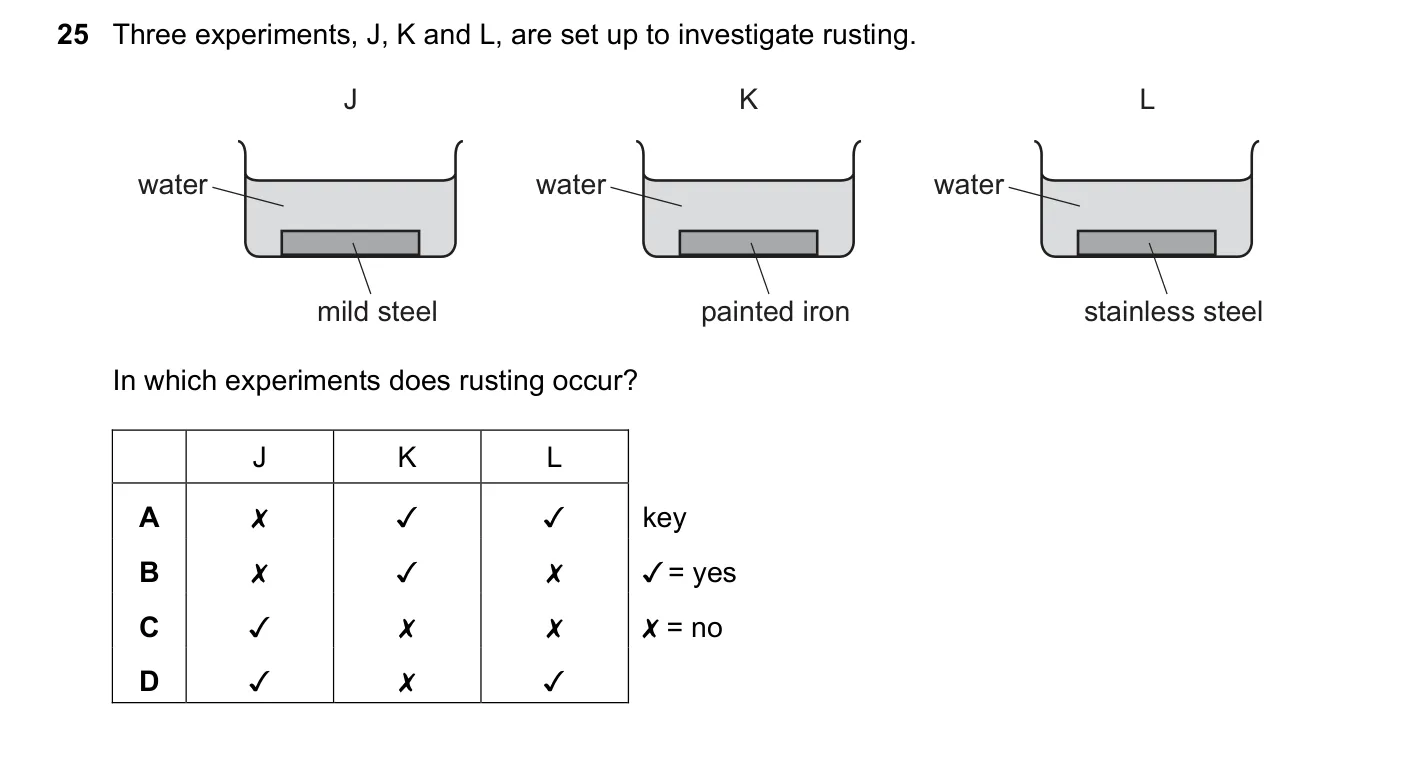 Question 25, November 2022, 0620 Paper 22
