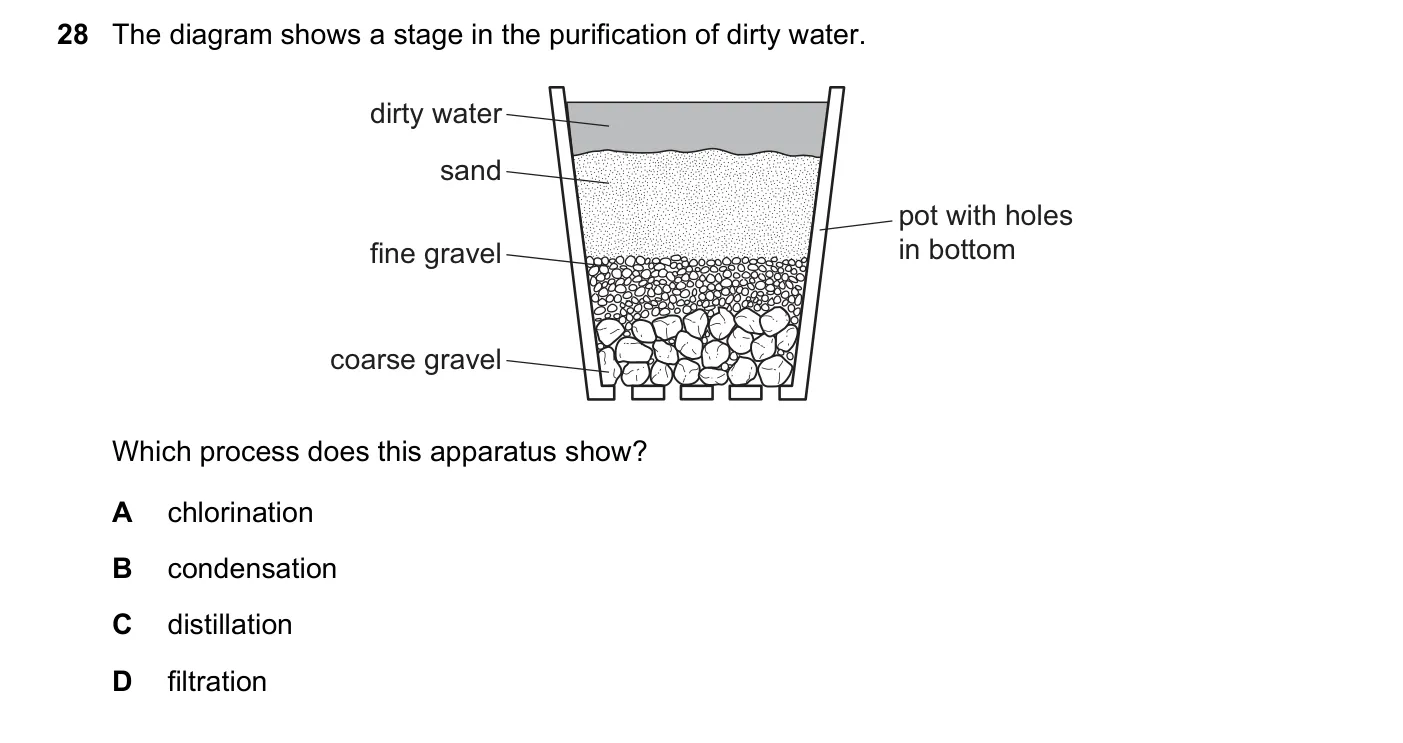 Question 28, November 2022, 0620 Paper 23