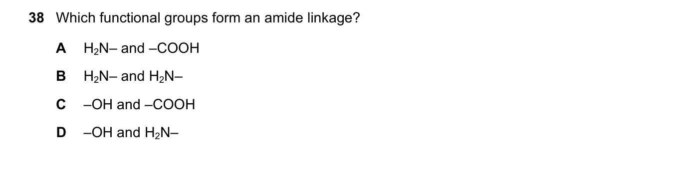 Question 38, November 2022, 0620 Paper 23