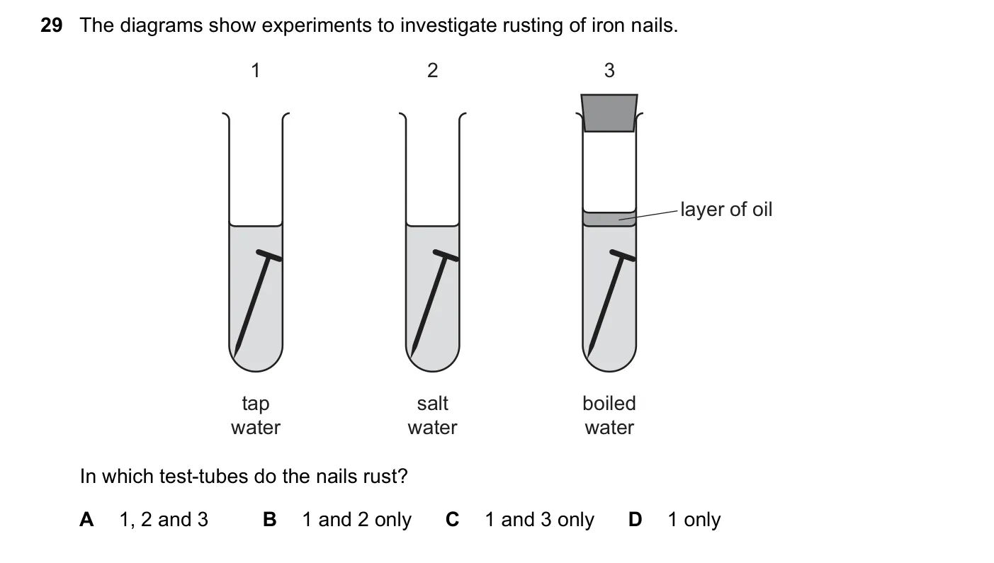 Question 29, November 2023, 0620 Paper 23
