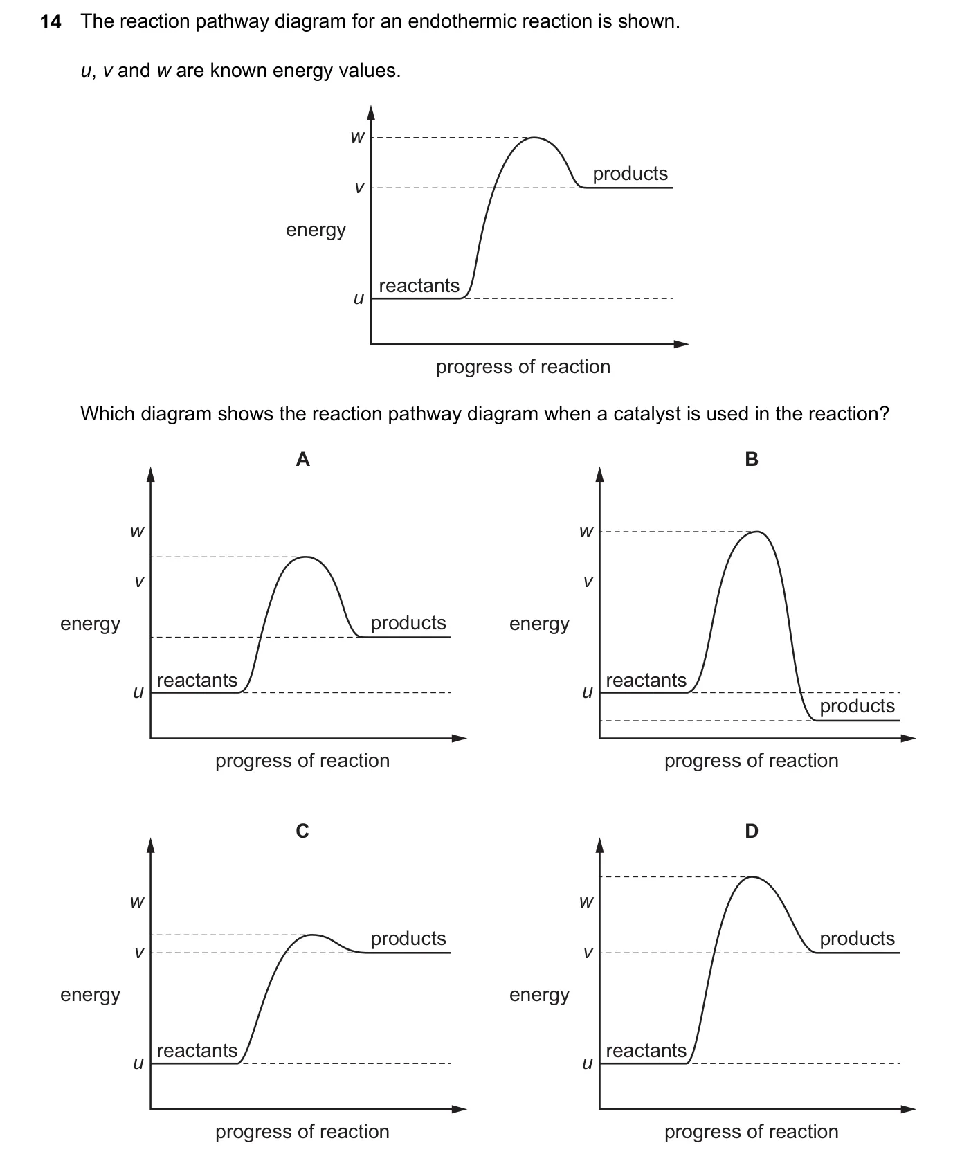 Question 14, June 2024, 0620 Paper 23