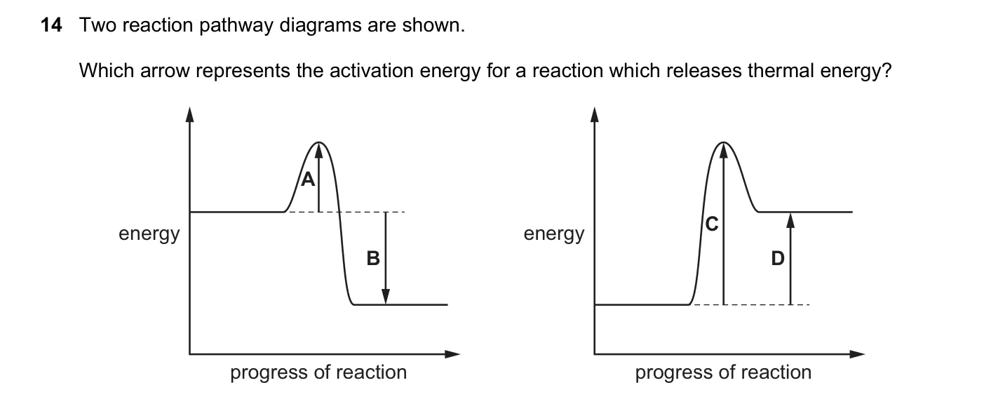 Question 14, November 2024, 0620 Paper 21
