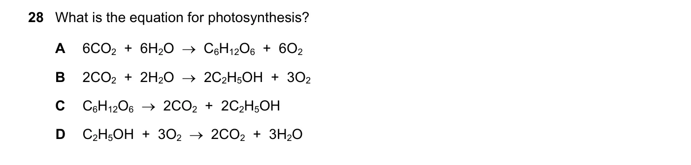 Question 28, November 2024, 0620 Paper 21