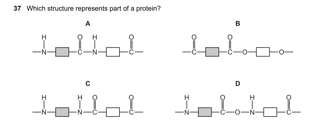 Question 37, November 2024, 0620 Paper 22