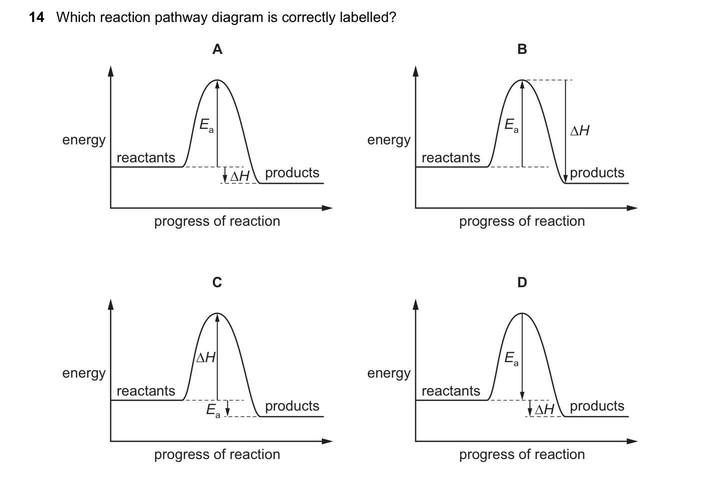 Question 14, November 2024, 0620 Paper 23