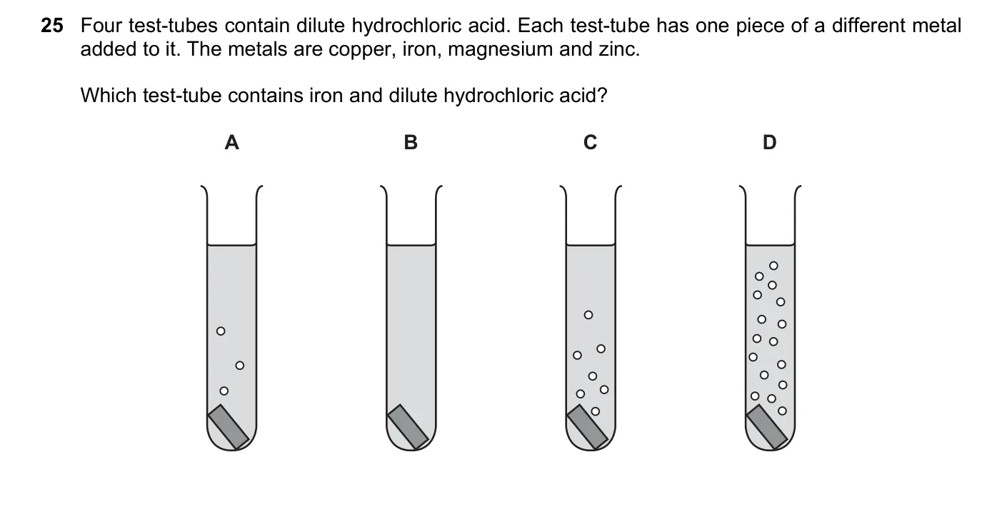 Question 25, June 2025, 0620 Paper 23