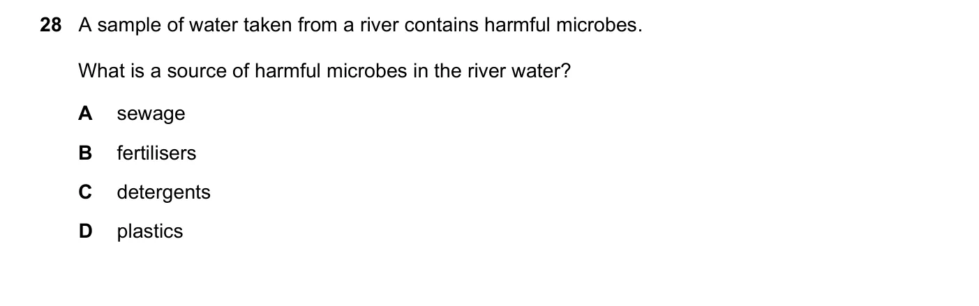 Question 28, June 2025, 0620 Paper 23