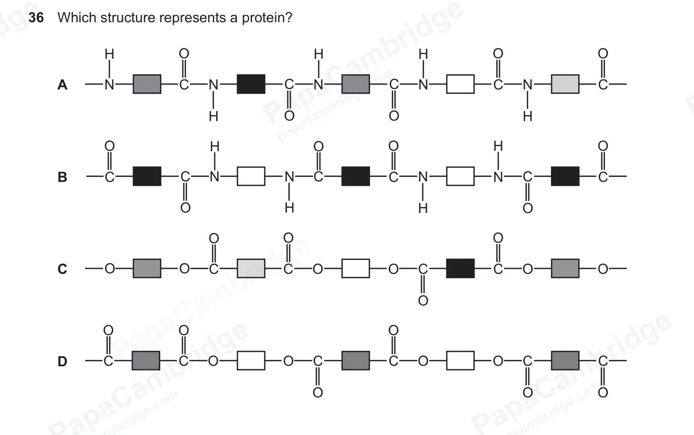 Question 36, June 2026, 0620 Paper 23