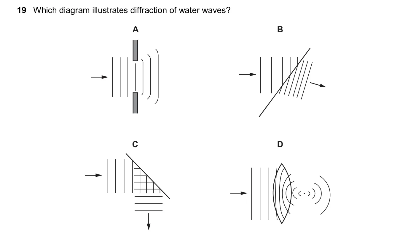 Question 19, November 2024, 0625 Paper 23